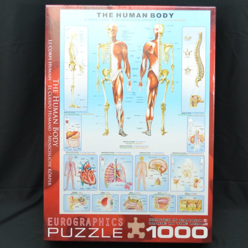 NIB - The human body puzzle - 1000pcs